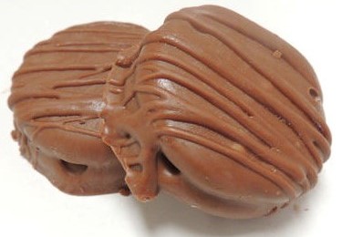 Photo of Chocolate Covered Oreo, courtesy of The Candy Jar, Haddon Ave, Collingswood. 