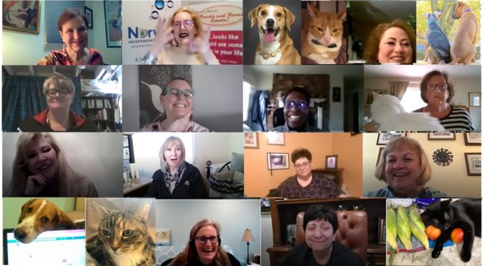 Collage-Pets-2022 Collage-Pets-2022